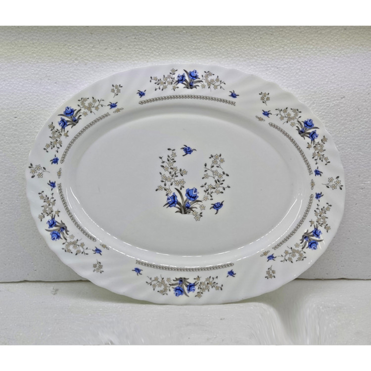 دیس بیضی آکروپال کد 120