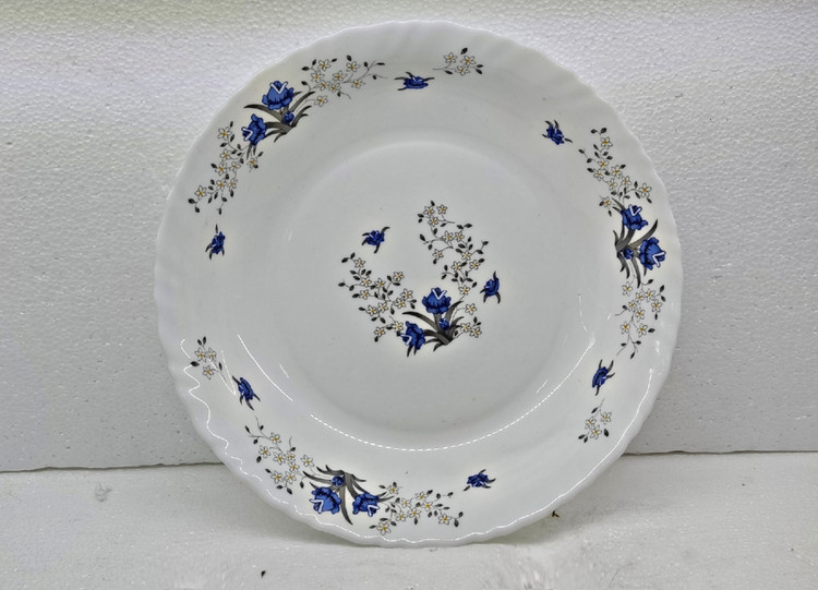 دیس گرد آکروپال رمانتیک کد 120