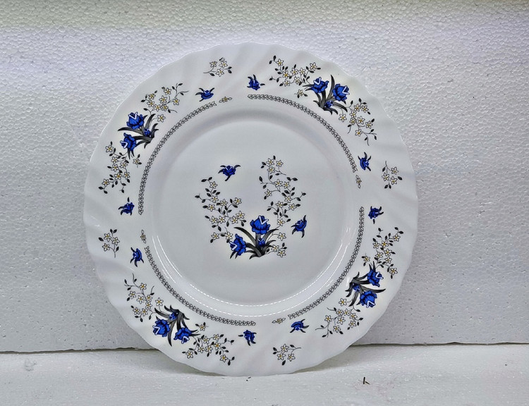 پیش دستی آکروپال کد 120